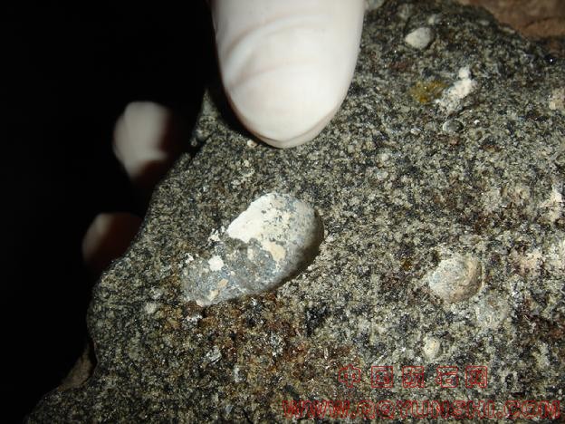 624_DSC09751[1].jpg