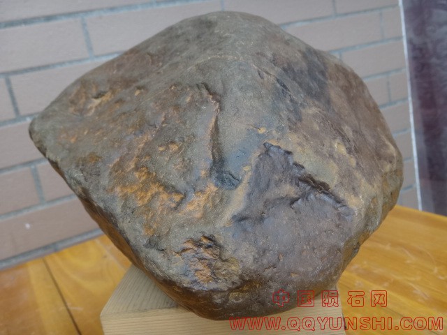 DSC03447.JPG