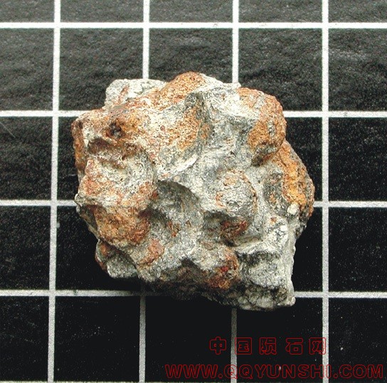 11449_6665_183[2].jpg