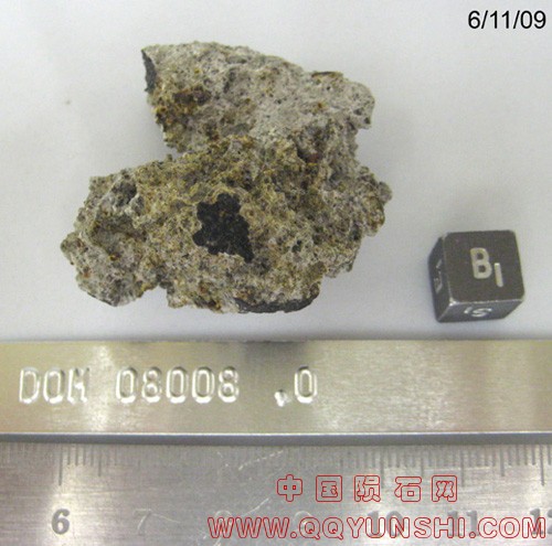 DOM08008,0B.jpg