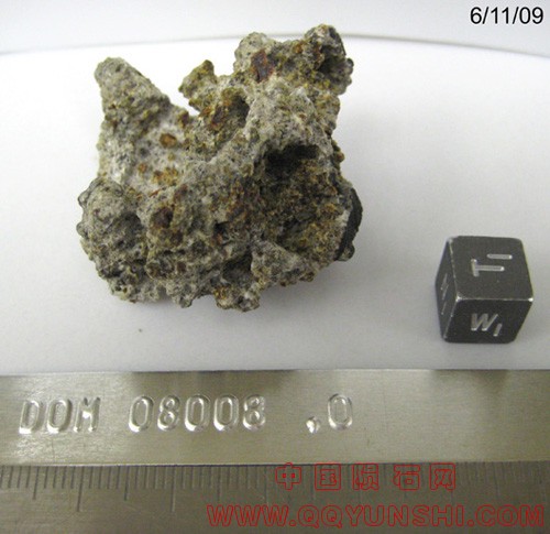DOM08008,0W.jpg