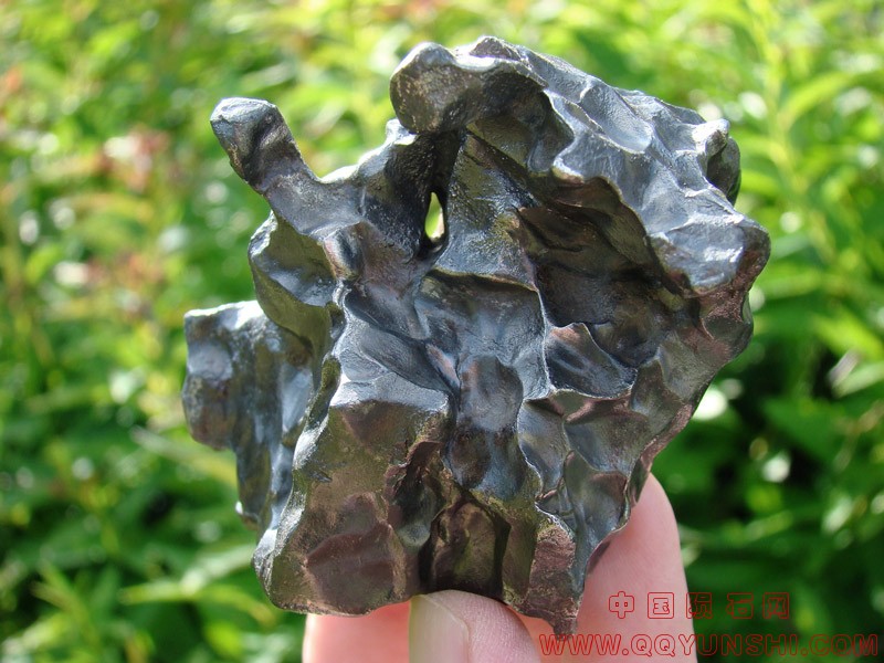 23593_6915_2580.jpg