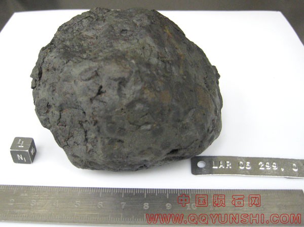 lar06299,0n.jpg