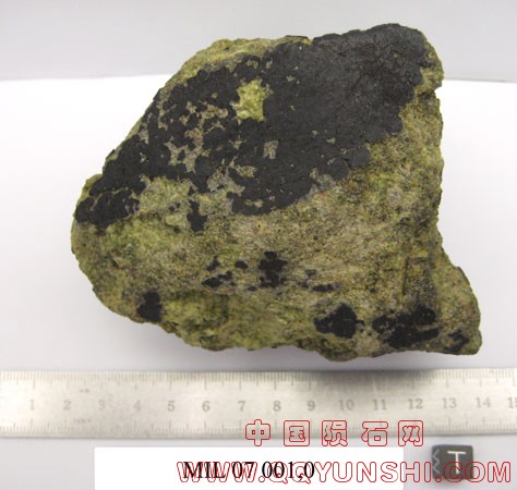 MIL07001,0T.jpg