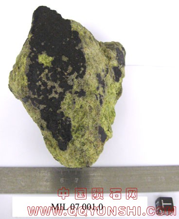 MIL07001,0TW.jpg