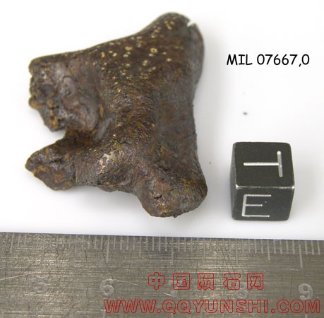 MIL07667,0E.jpg