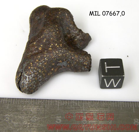 mil07667,0W.jpg