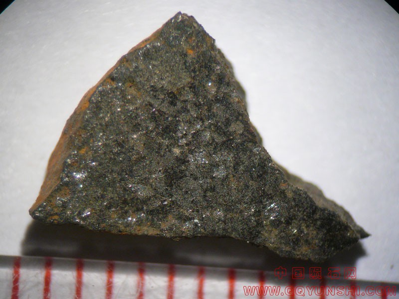 5288_23467_2585.jpg