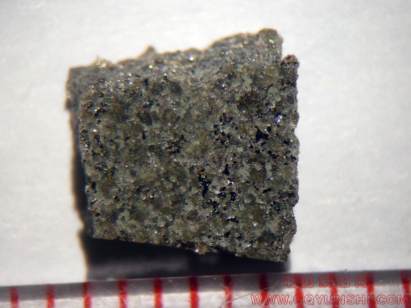 24346_16203_2585.jpg