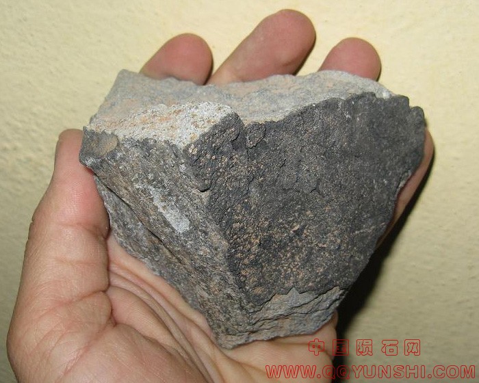 48691_5959_183.jpg