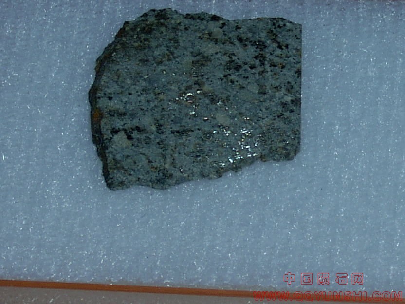 48691_5780_2416.jpg