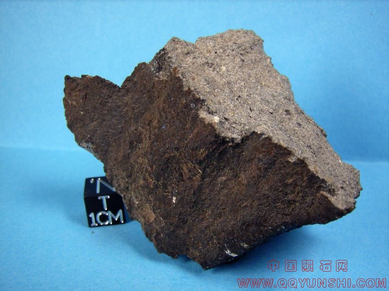 48691_8807_217.jpg