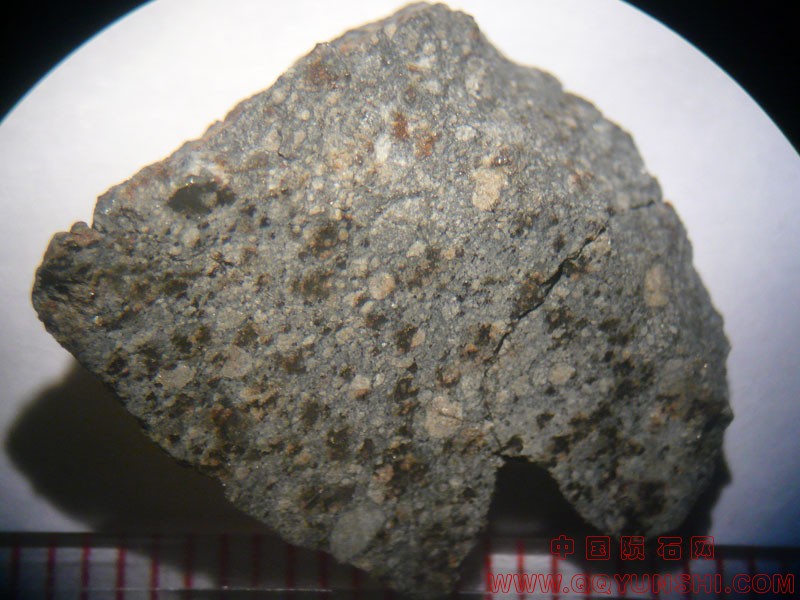 48691_10693_2585.jpg