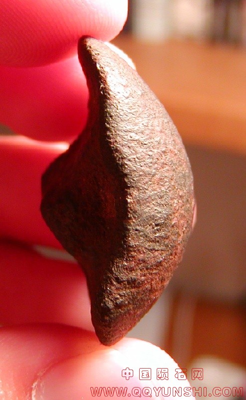 10854_1468_127.jpg