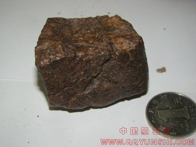 DSC08171.JPG