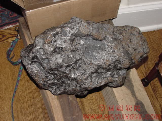 5247_4477_1224.jpg