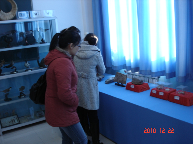 DSC05339.JPG
