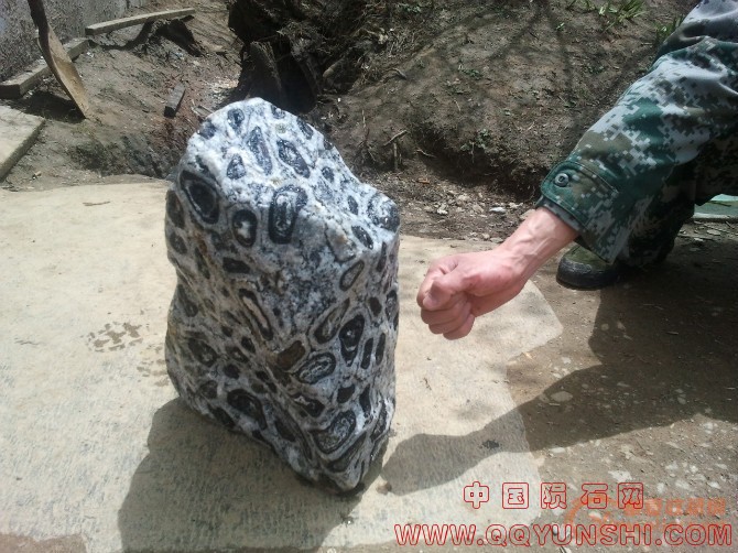 201106240631133906.jpg