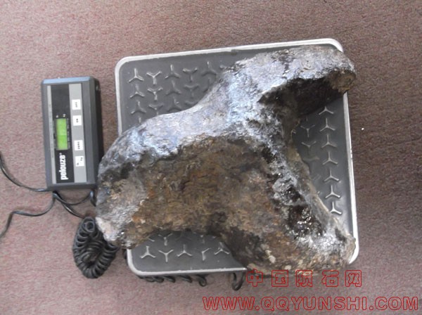 ren pallasite end cut web.jpg