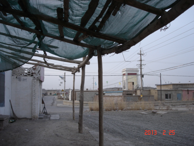 DSC09781.JPG
