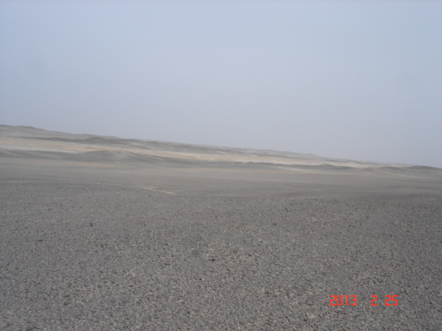 DSC09814.JPG