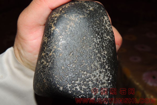 gamble 1kg web.jpg