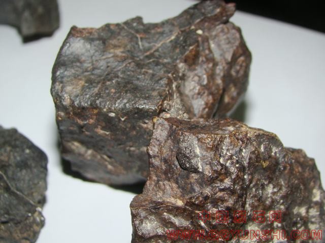 DSC01515.JPG