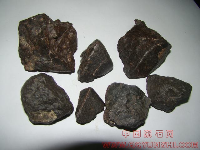 DSC01518.JPG
