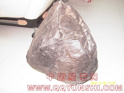 SDC10021_调整大小.jpg