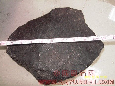 SDC10029_调整大小.jpg