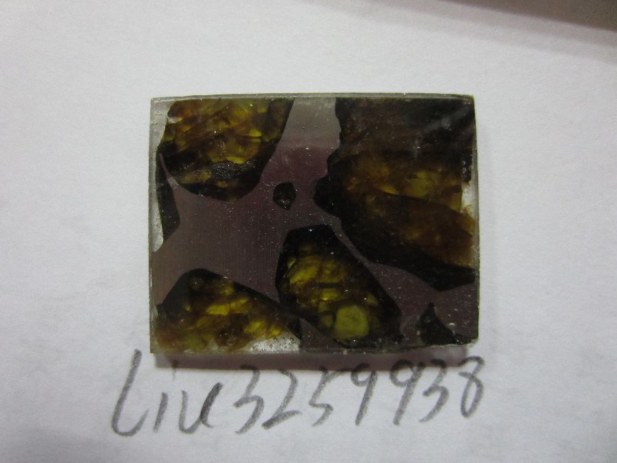 s900_33 007.jpg