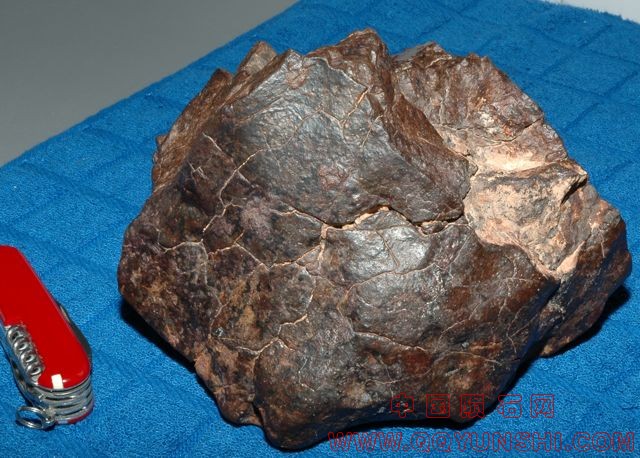 陨石熔壳4.jpg