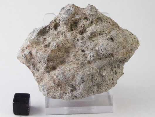 nwa5616_04_1.jpg