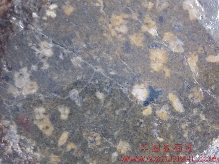 照片 1345.jpg