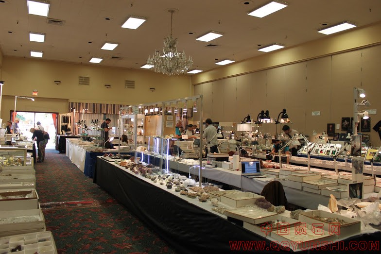 IMG_5661[1].JPG