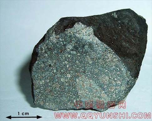 Chergach breccia.jpg