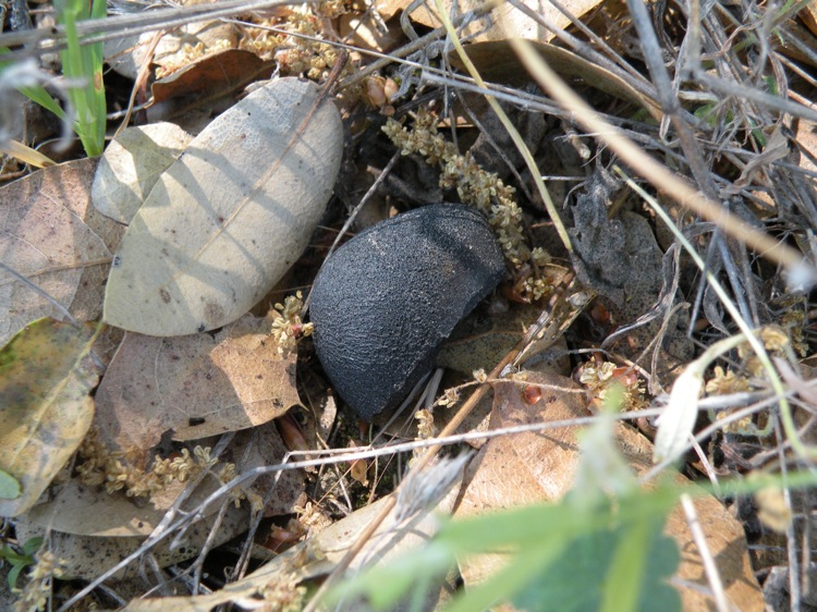 DSCN1792.jpg