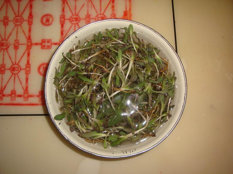 调整大小 DSC00399.JPG