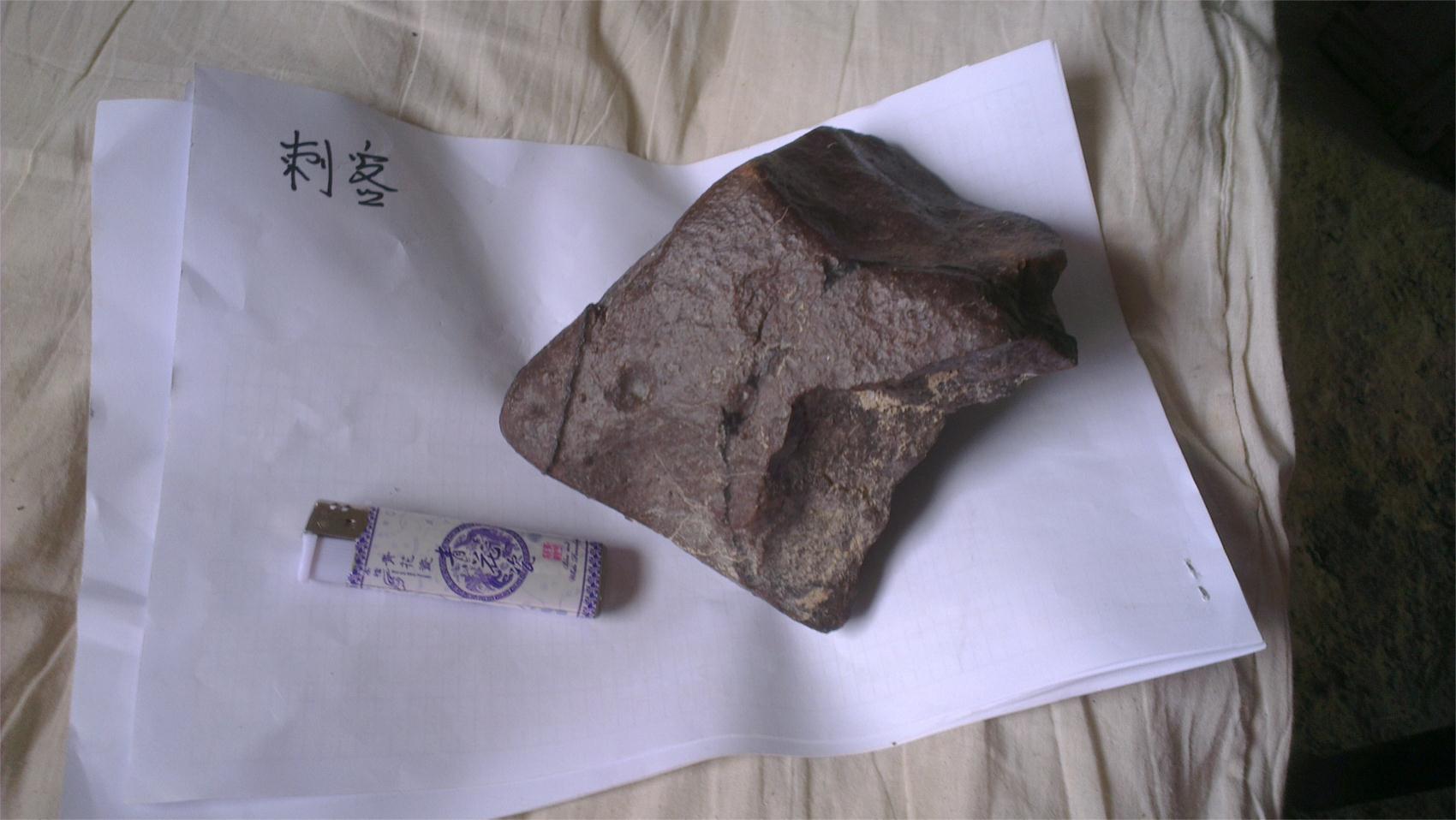 IMAG0185.jpg