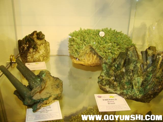 DSC02334.JPG