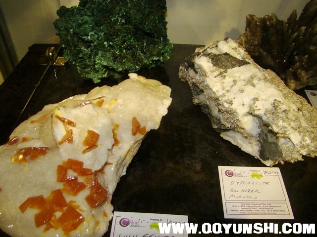 DSC02336.JPG