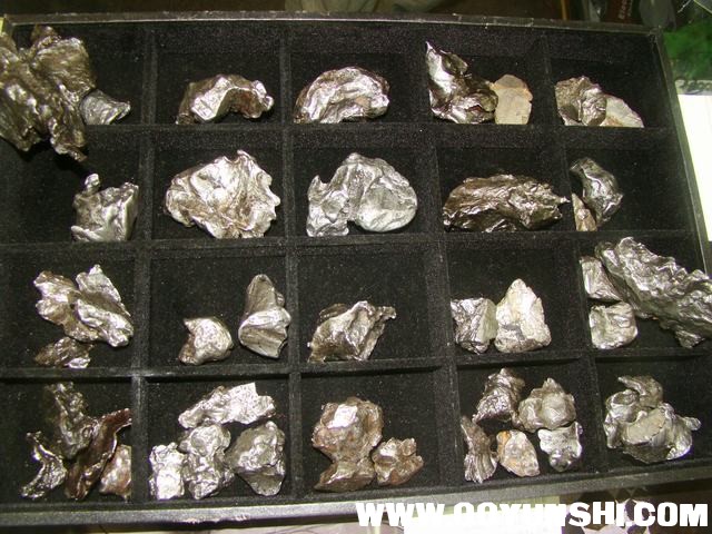 DSC02652.JPG