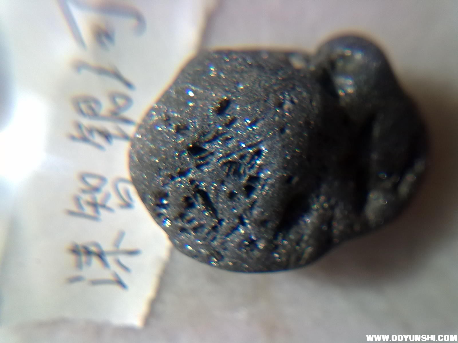 照片 004.jpg