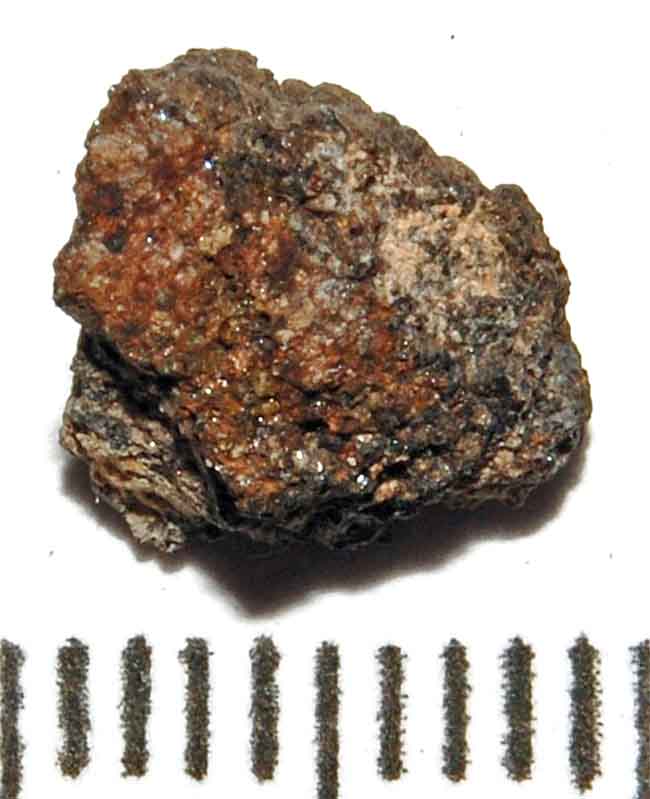 33345_14501_661.jpg