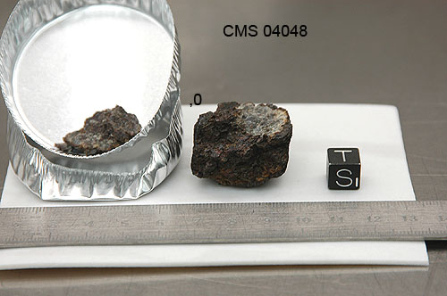 CMS04048s.jpg