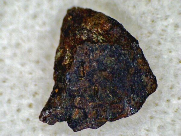 5867_7816_2591.jpg
