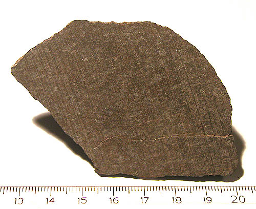 dho132_moritzkarl.jpg