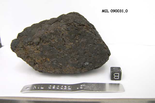MIL090031,0b.jpg