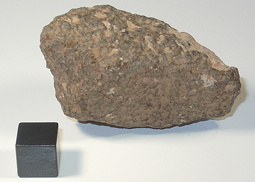 nwa3140_nakhladog.jpg