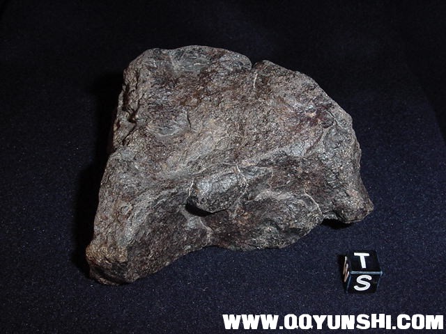 33485_1653_186.jpg